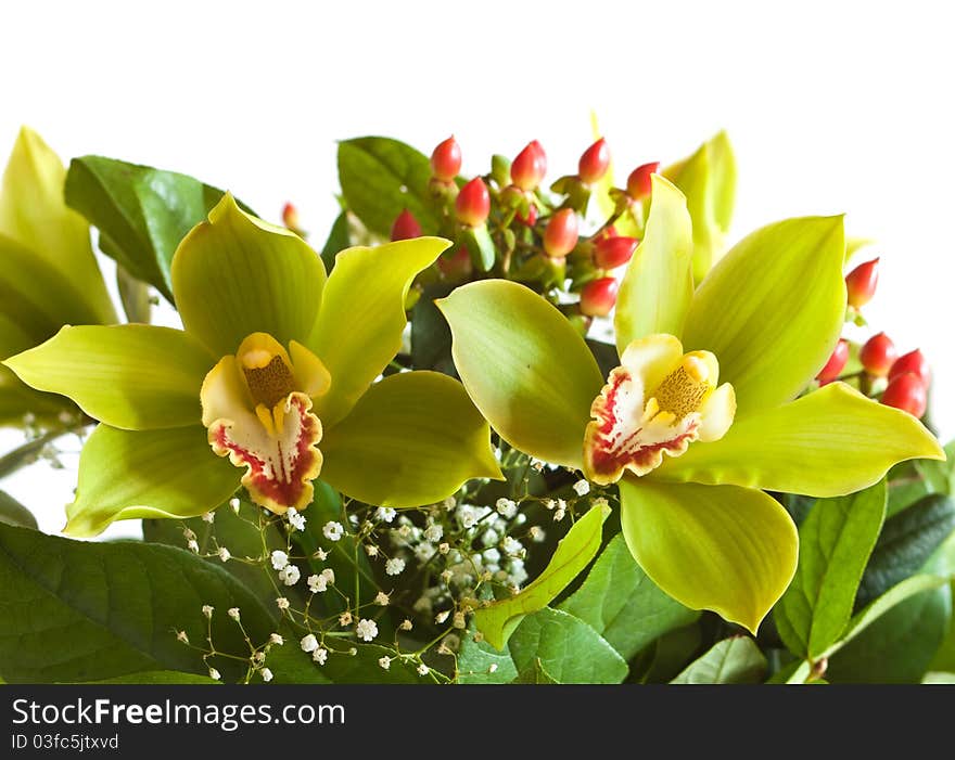 Beautiful bouquet with orchids on a white background. Beautiful bouquet with orchids on a white background.