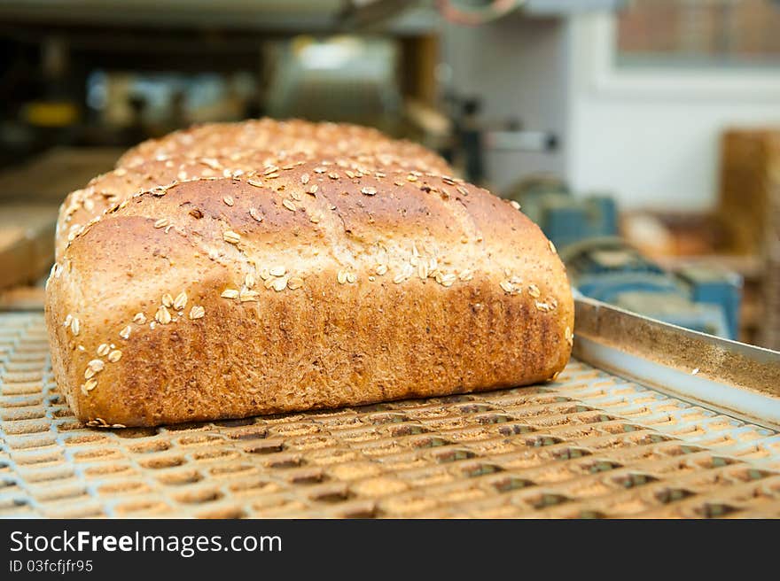 Loafs of bread in the factory