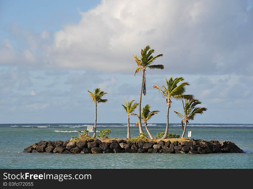 Palm trees on island in Kahala bay, HI