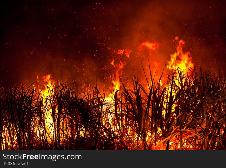 Big fire on the farmland