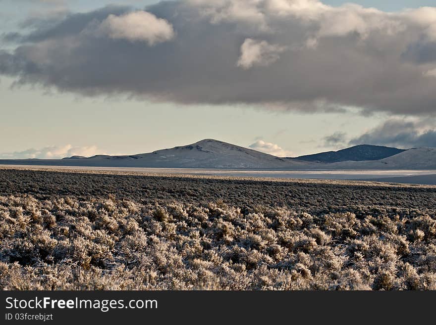 Nevada Desert Winter