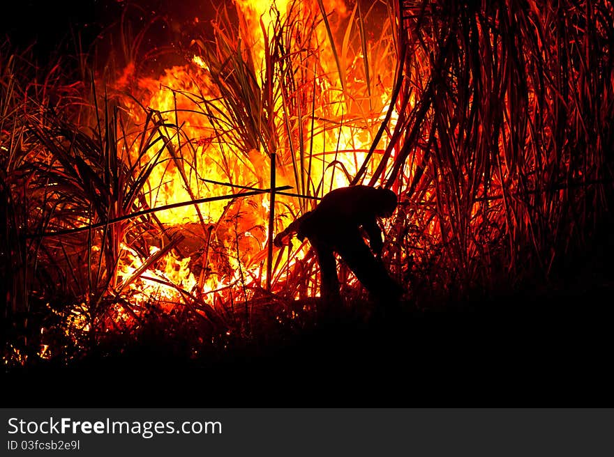 Big fire on the farmland