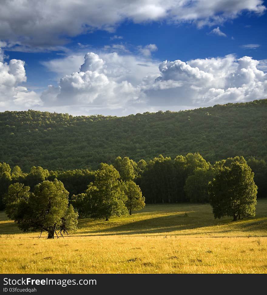 Hill covered with oak trees on the background of the cloudy sky in the hot summer. Hill covered with oak trees on the background of the cloudy sky in the hot summer.