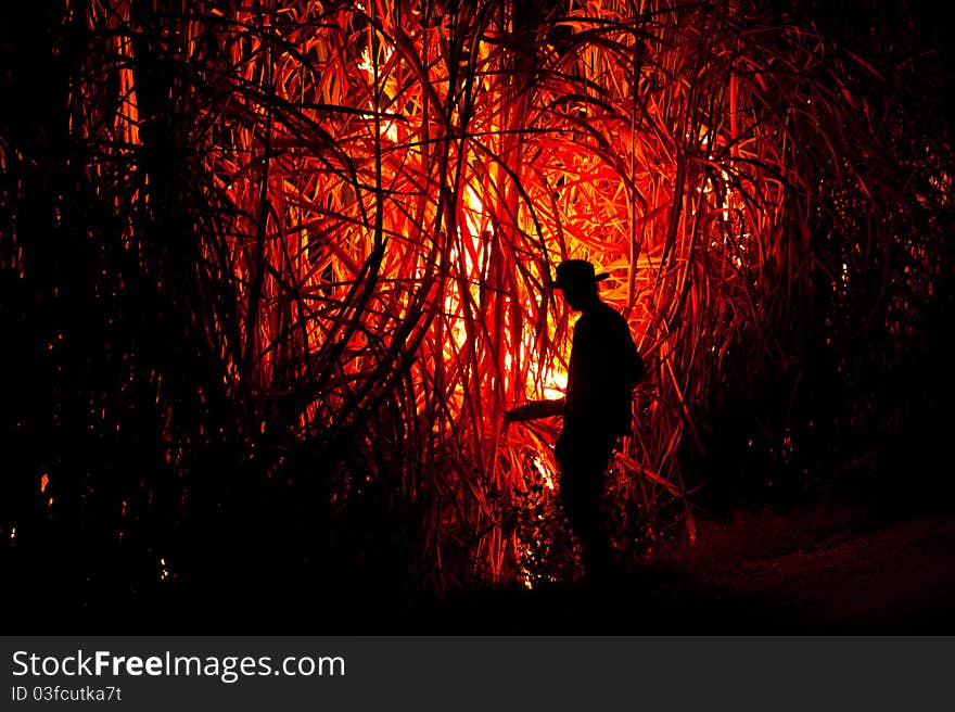 Big fire on the farmland