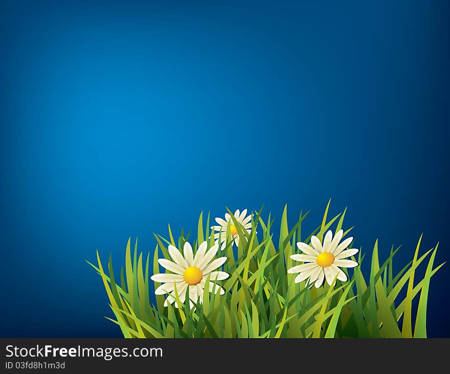 Flower in green grass