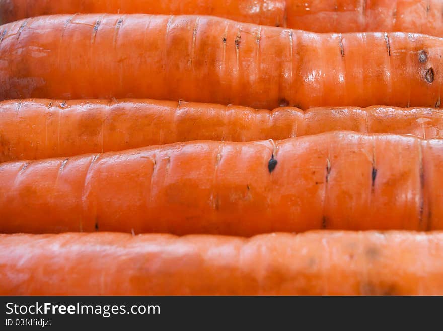 Carrots arranged in a row