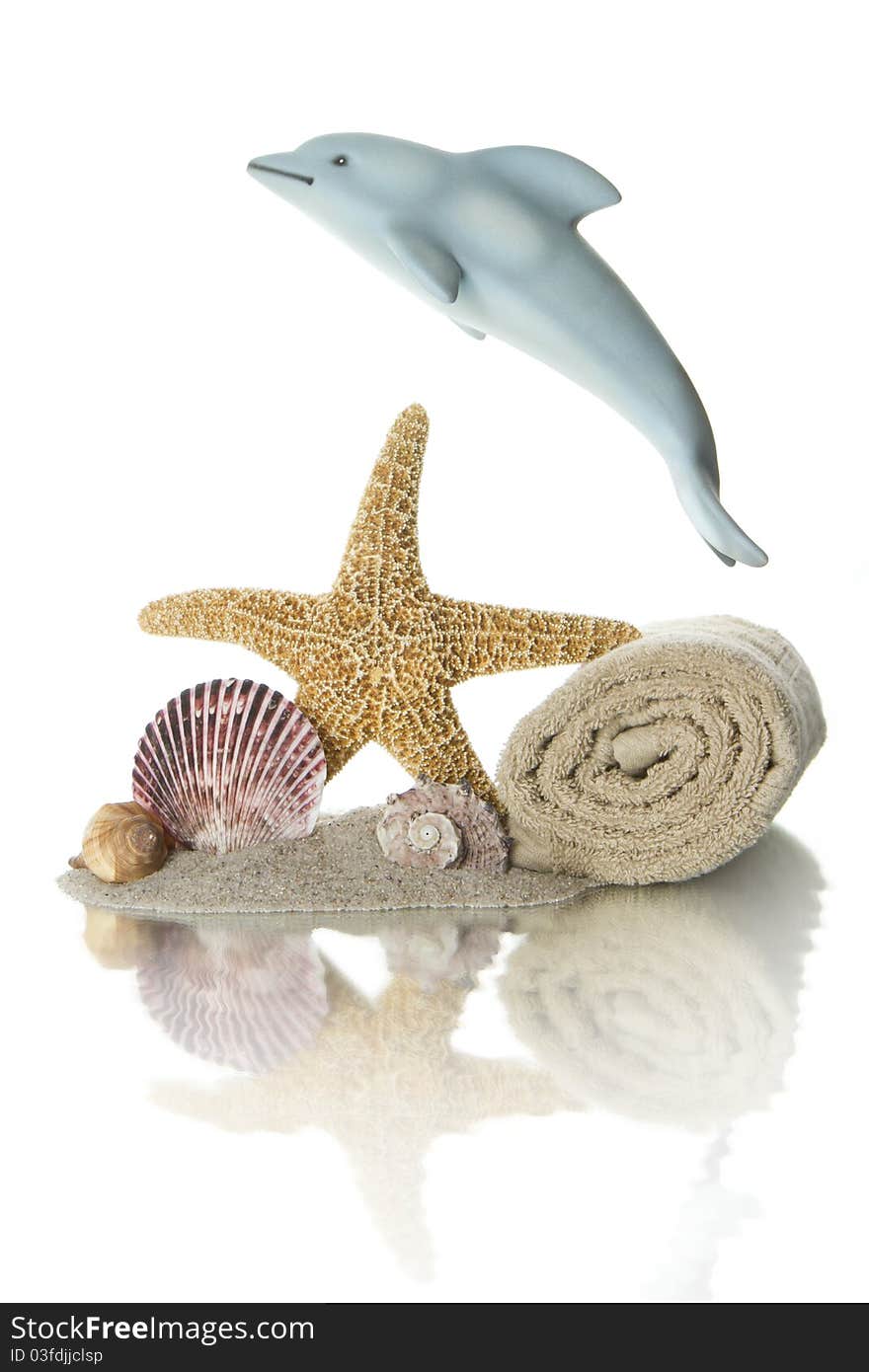 Dolphin jumping over rolled towel and seashell. Dolphin jumping over rolled towel and seashell