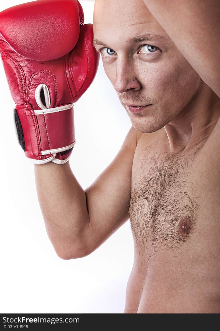 Confident boxer on white background. Confident boxer on white background