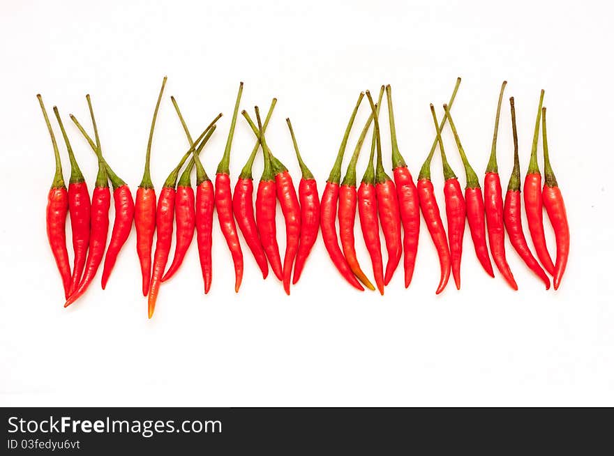 Red chili peppers on a white background