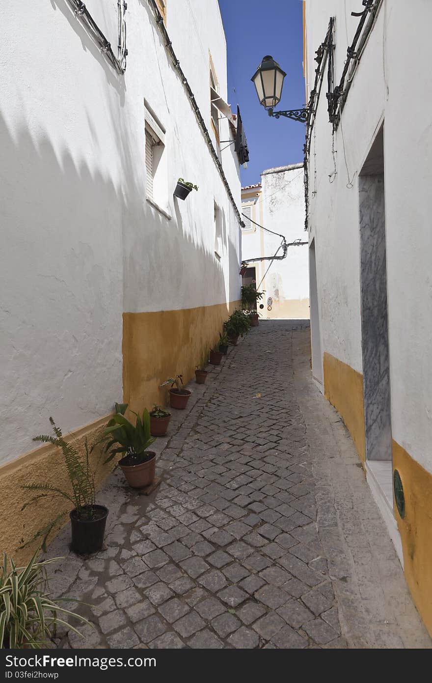 Narrow Street In Portugal