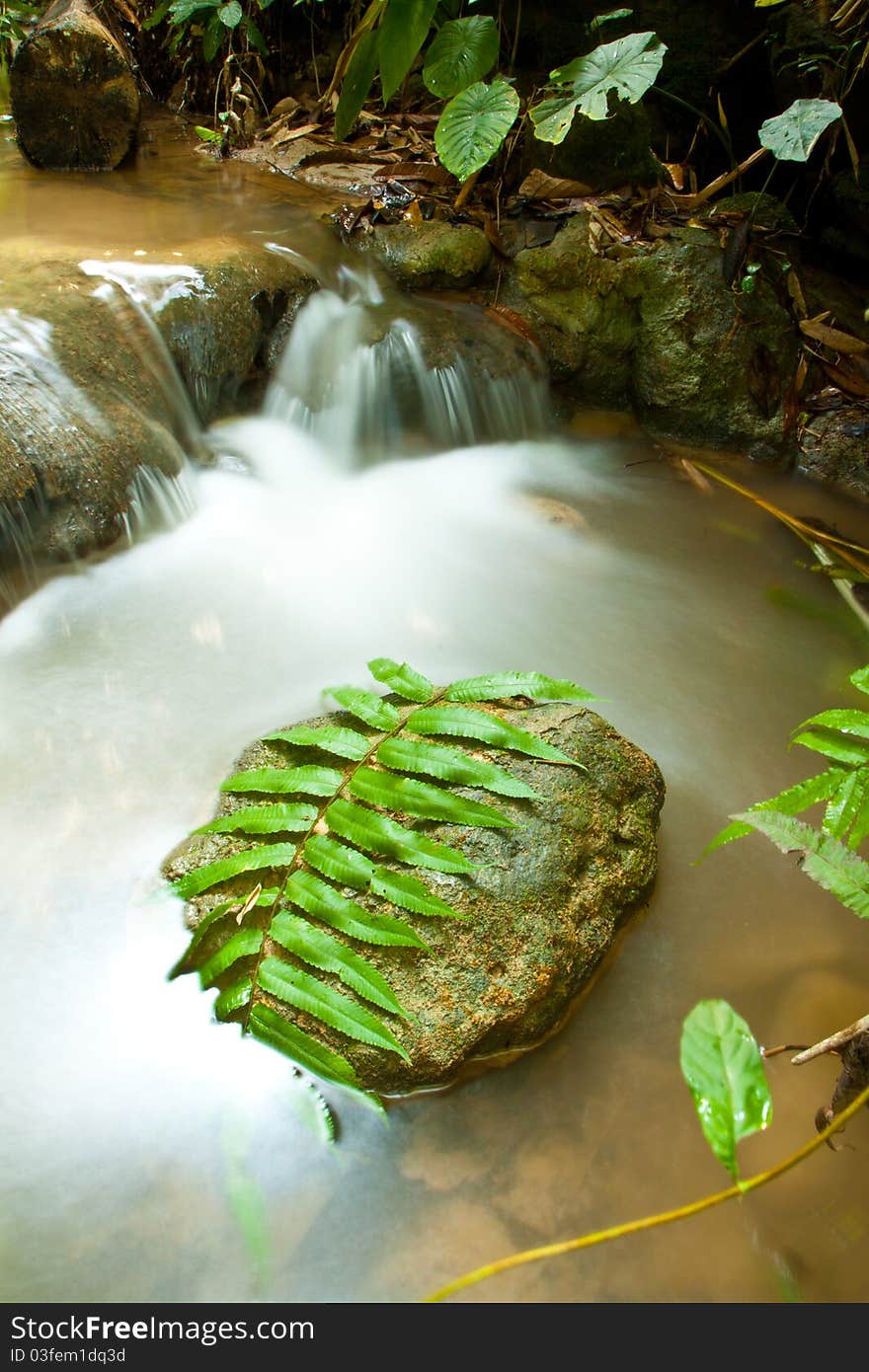 Small waterfall in the forest