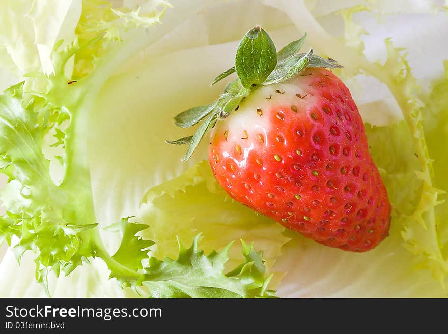 Closeup of strawberry above lettuce. Closeup of strawberry above lettuce