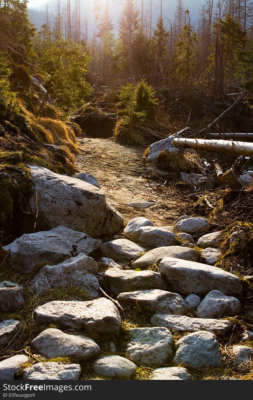 Trail in the mountains, Tatras