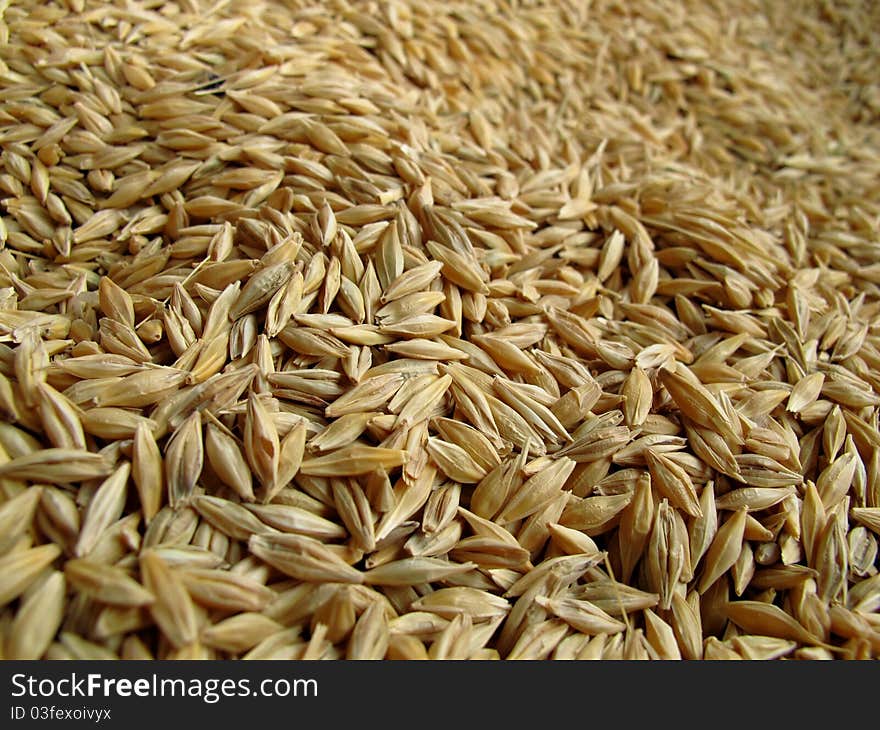 Wheat grains on a market