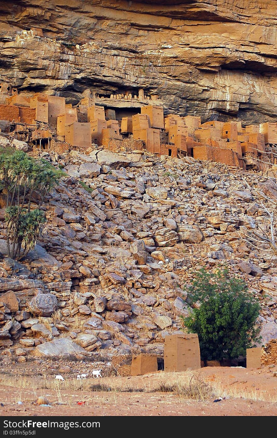 Ancient Dogon and Tellem houses on the Bandiagara escarpment in Mali with sheep. Ancient Dogon and Tellem houses on the Bandiagara escarpment in Mali with sheep