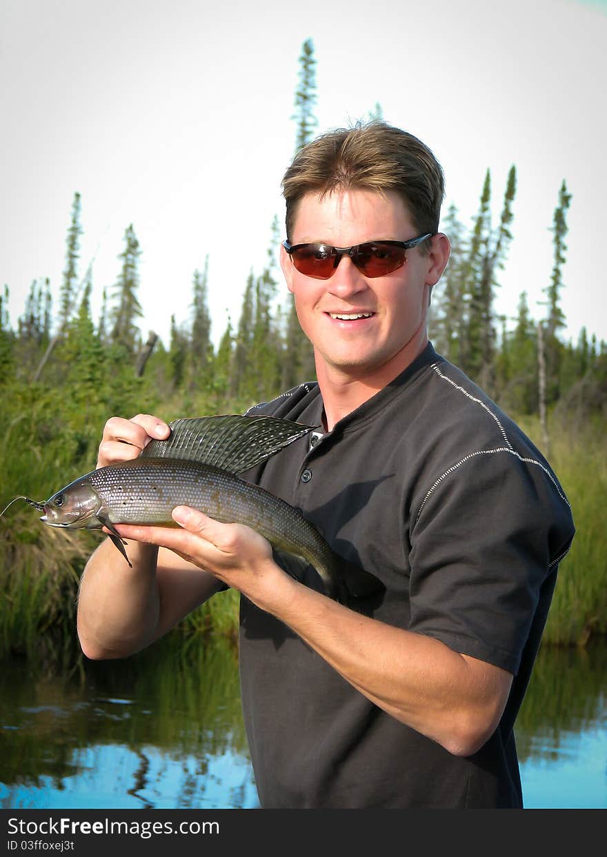 Man successfully fishing for Arctic Grayling in Interior Alaska. Man successfully fishing for Arctic Grayling in Interior Alaska