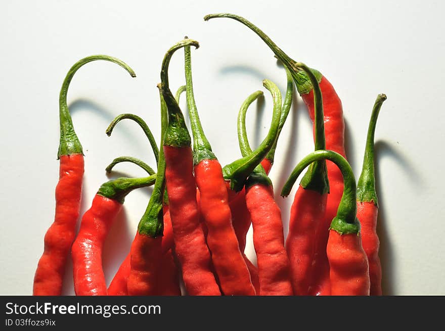 Curly red chillies. plants that require high light intensity and rainfall slightly. Curly red chillies. plants that require high light intensity and rainfall slightly