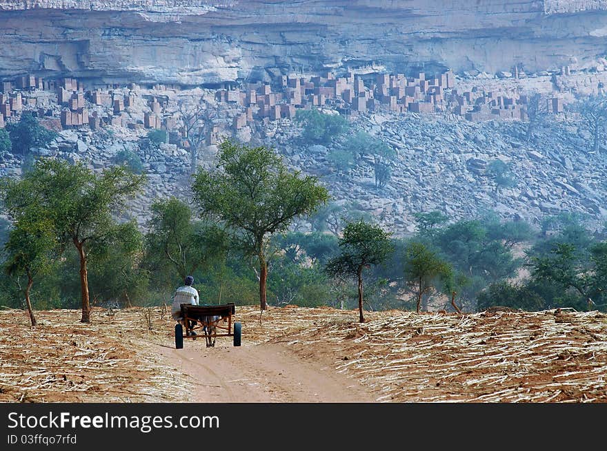 A Dogon man with donkey and cart approaching a village at the base of the Bandiagara escarpment in Mali. A Dogon man with donkey and cart approaching a village at the base of the Bandiagara escarpment in Mali