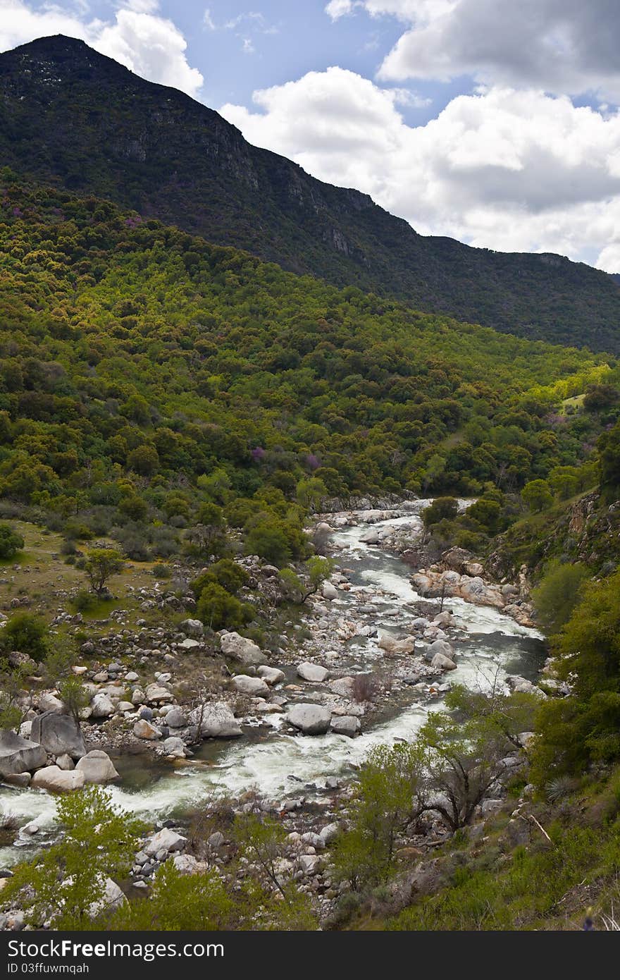 Mountain quick spring river at sunny day