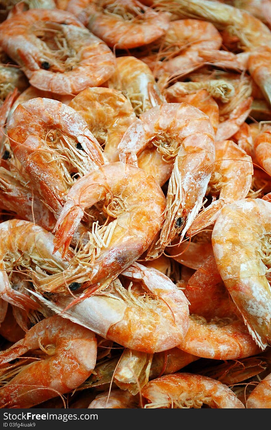 Dry Shrimp