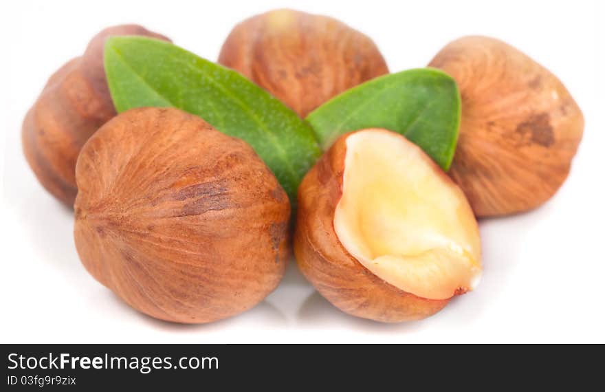 Hazelnut on white background