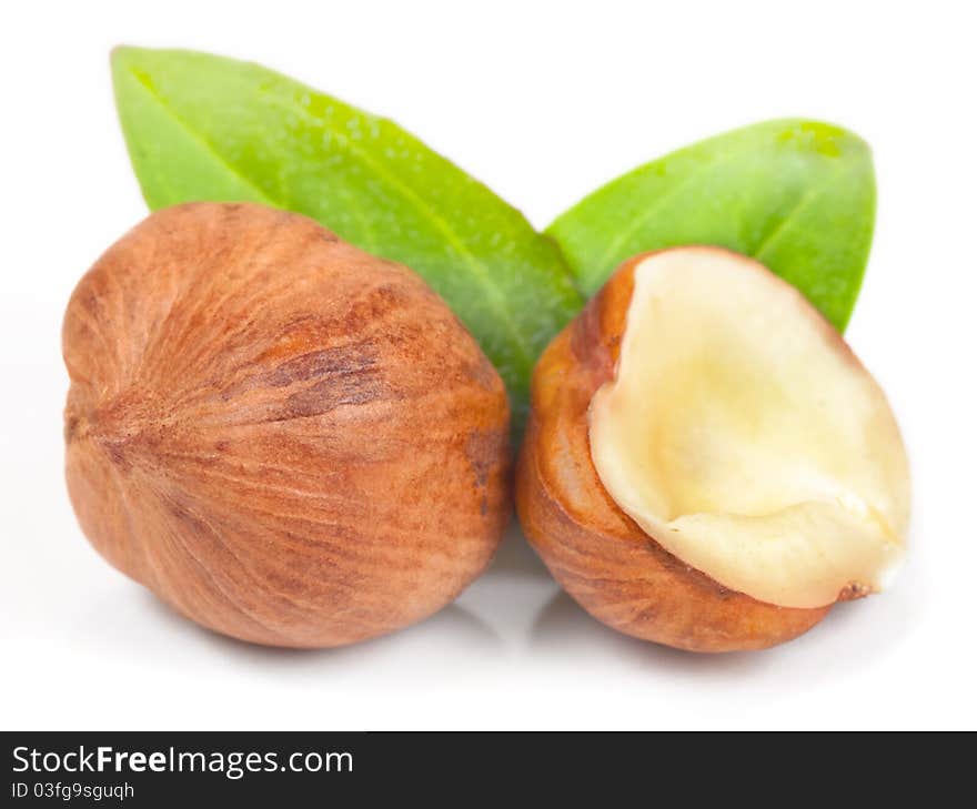 Hazelnut on white background