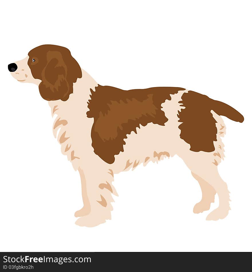 Drawing Of The Dog On White