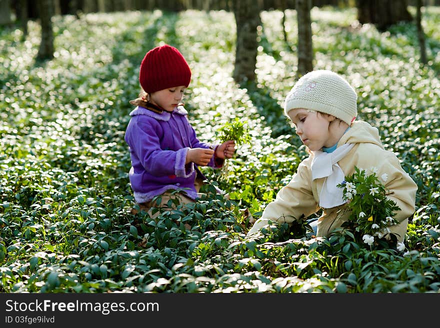 An image of sisters in spring forest. An image of sisters in spring forest