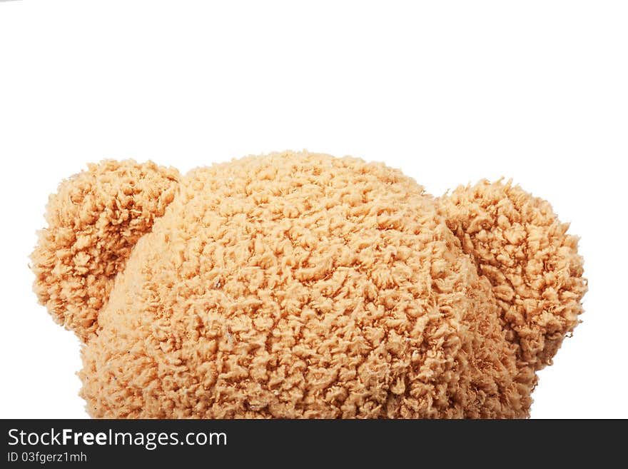 Head of fluffy teddy bear over white background