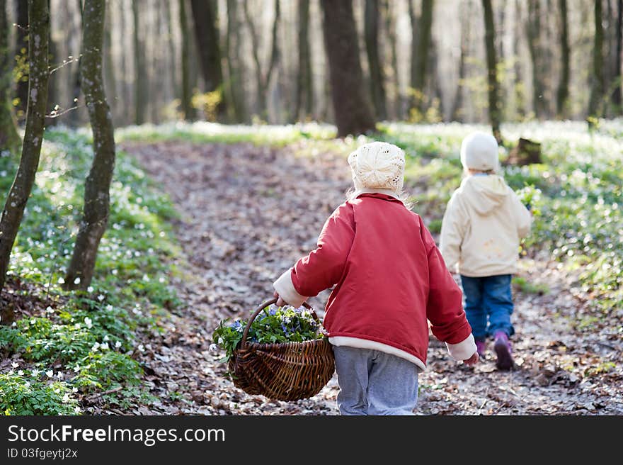 An image of two sisters walking n the wood