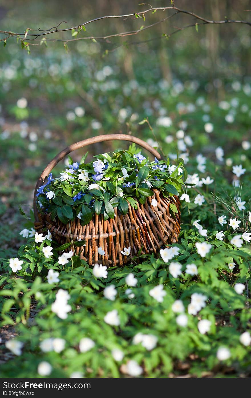 Basket with flowers