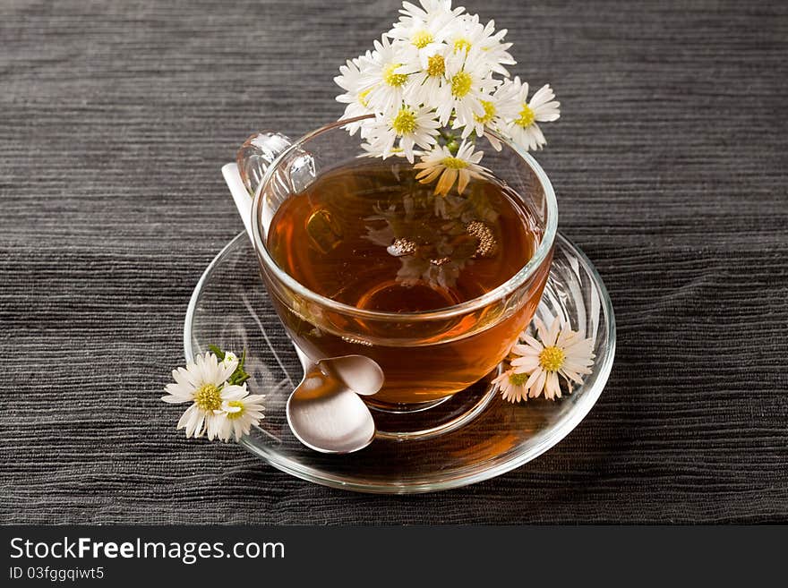 Chamomile With Marguerite