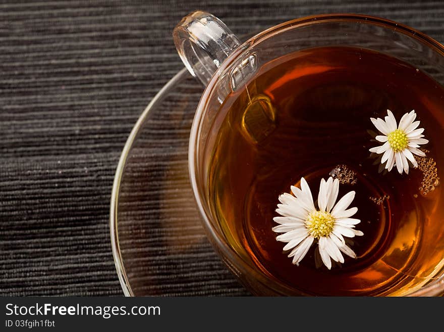 Chamomile With Marguerite