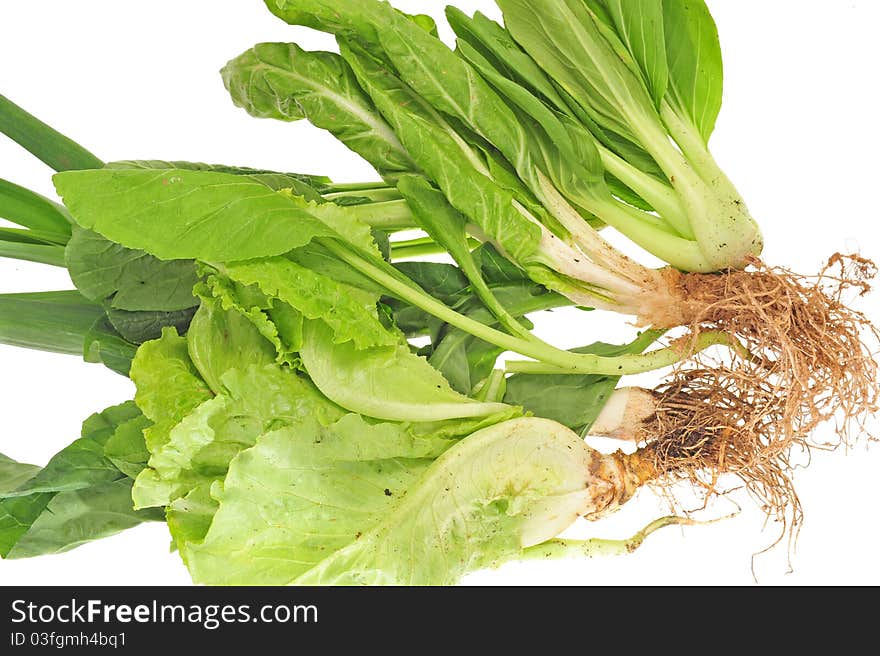 Assortment  Of Freshly Harvested Green Vegetables, Image Is Isolated On White Background