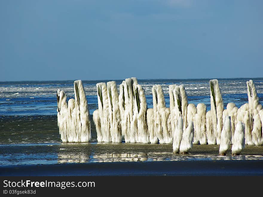 Sea Winter