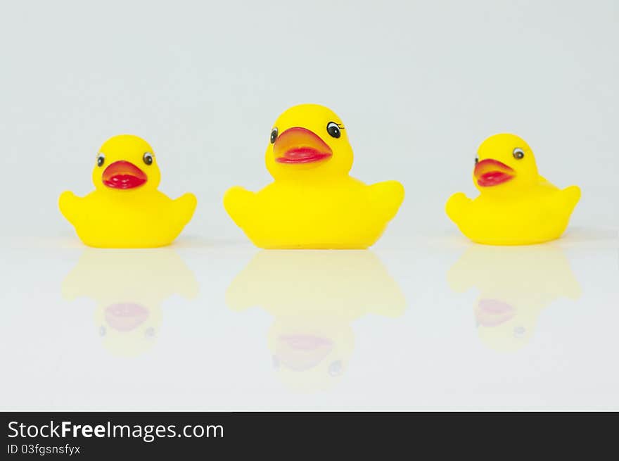 Rubber Ducks