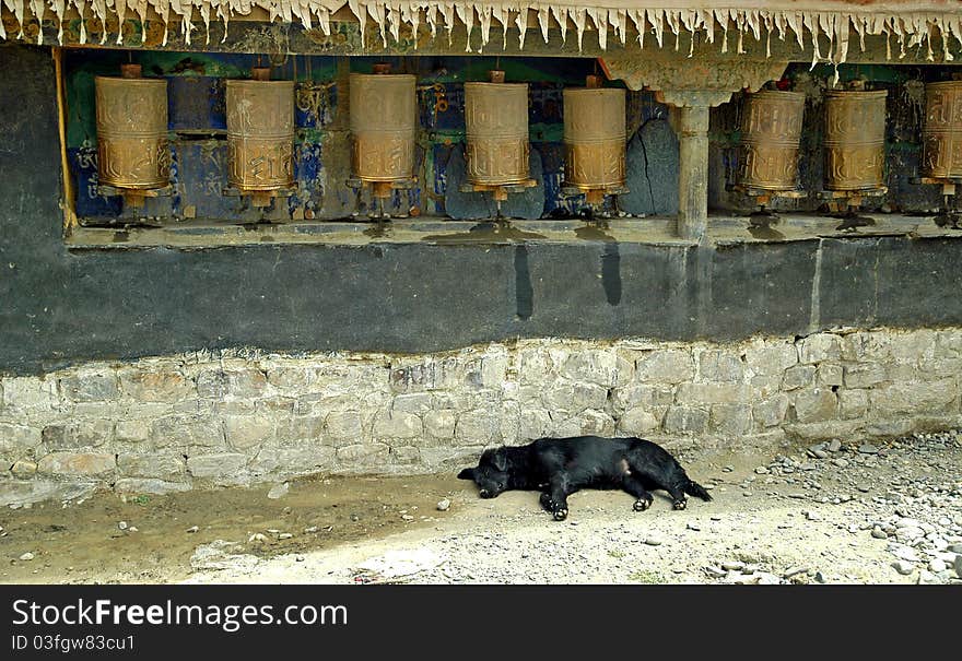 Old prayer wheels in Tibet with sleeping dog. Old prayer wheels in Tibet with sleeping dog.