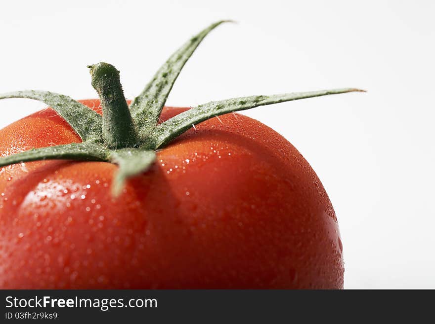 Fresh Tomato Fruits