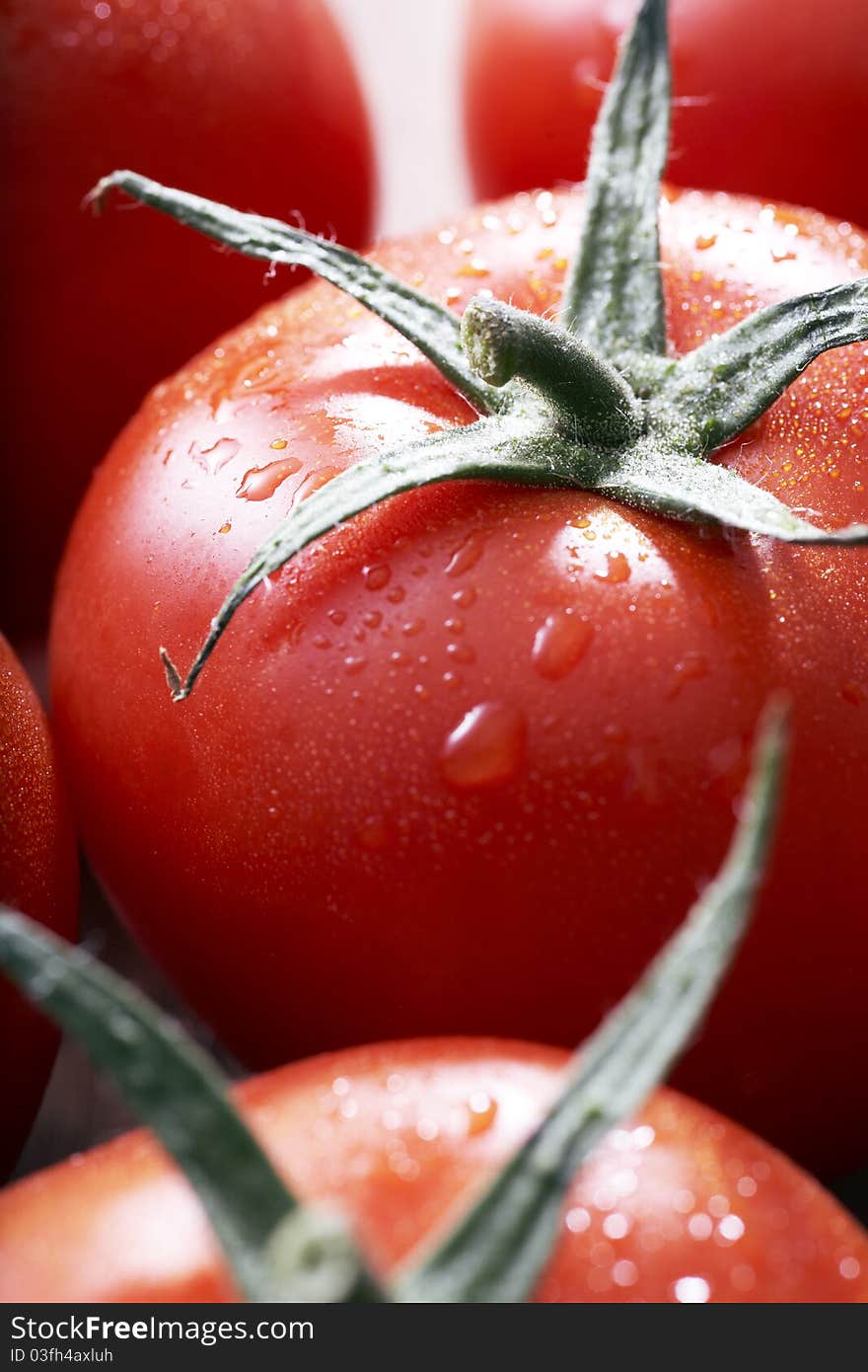 Fresh Tomato Fruits