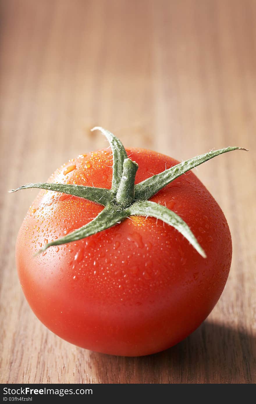 Fresh Tomato Fruits