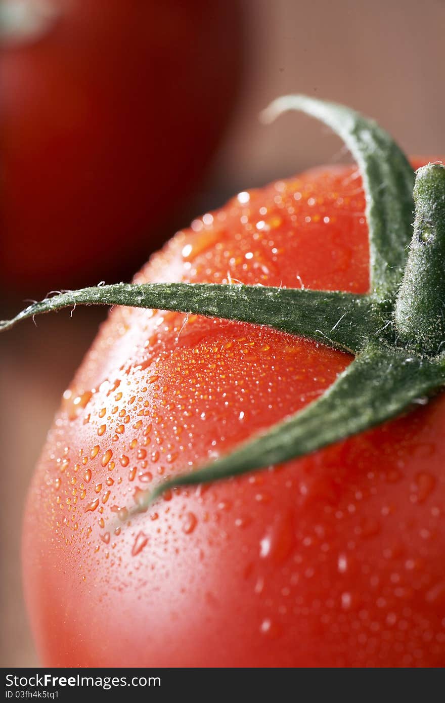 Fresh Tomato Fruits