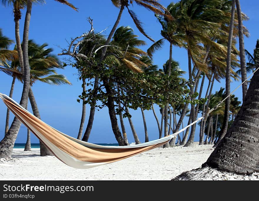 Hammock on perfect beach