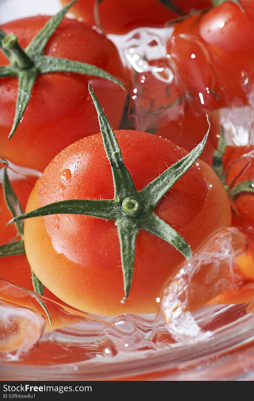 Fresh Tomato Fruits