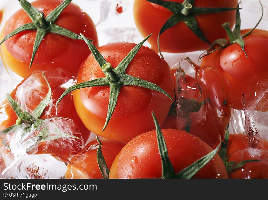 Fresh Tomato Fruits