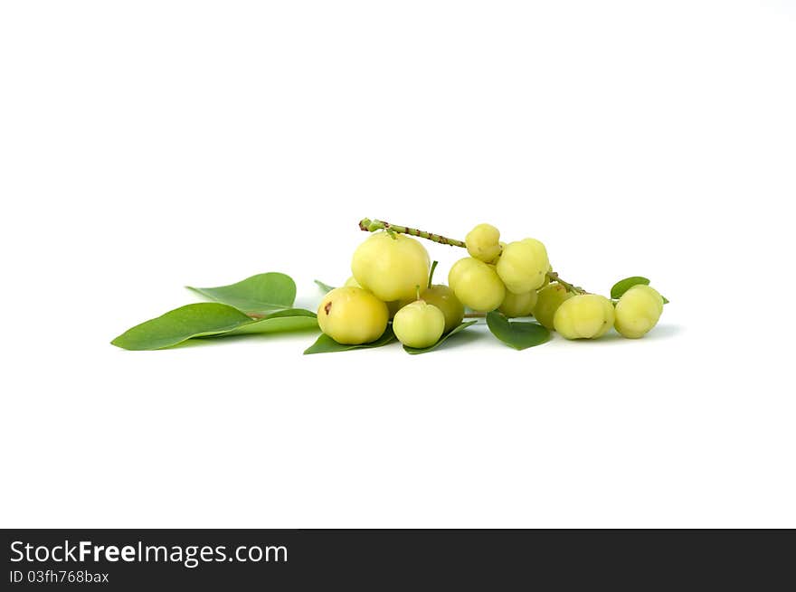 Small star gooseberry on the white background,phitsanulok