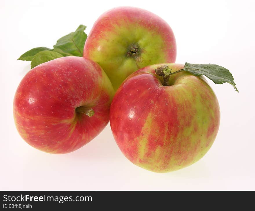 Gravensteiner apples