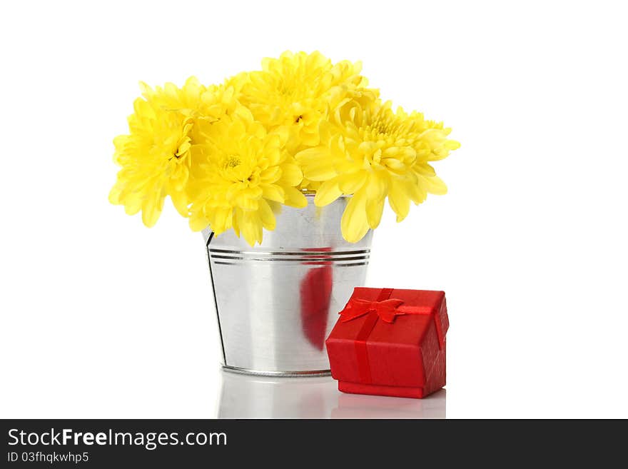 Yellow chrysanthemums in a bucket of red chrysanthemums next gift box. Isolated. Yellow chrysanthemums in a bucket of red chrysanthemums next gift box. Isolated