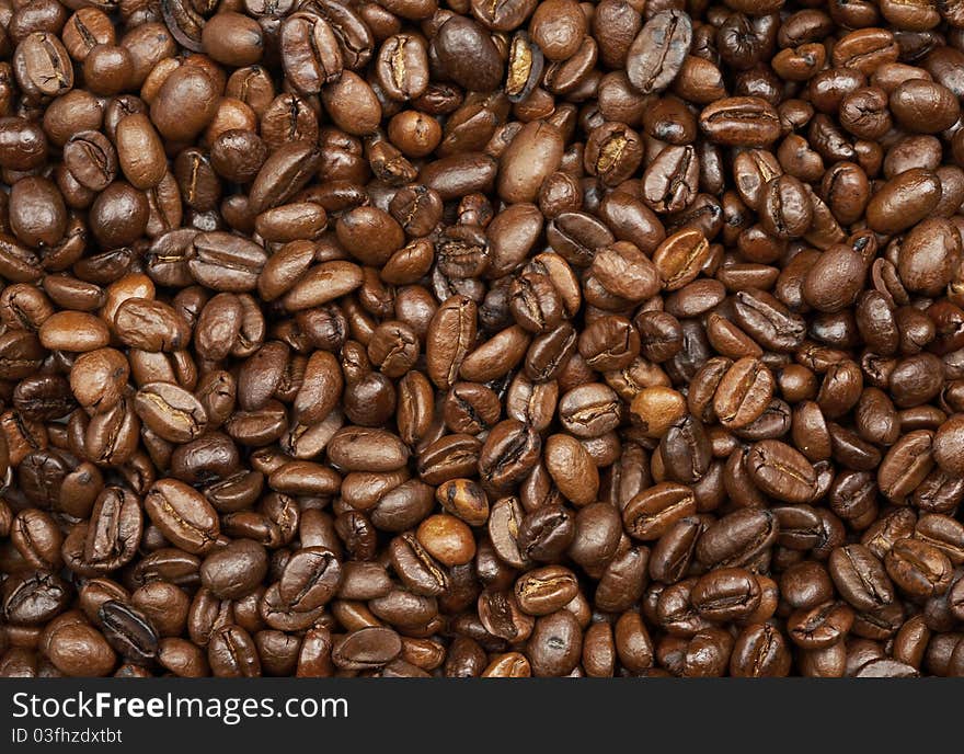 Coffee Roasted Beans