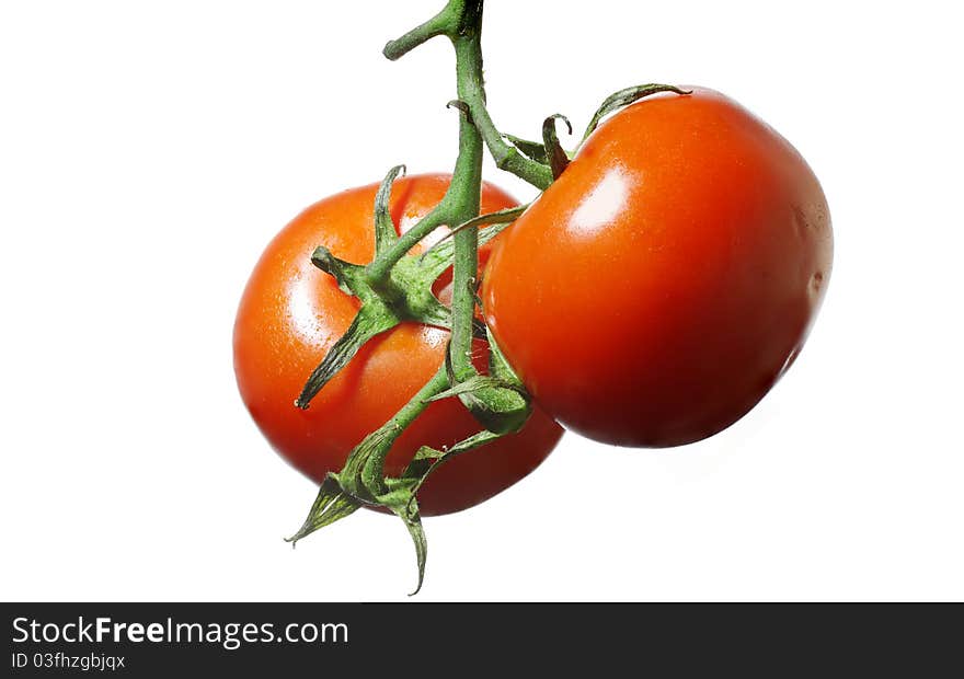 Vegetables, tomatoes on a branch. White background.