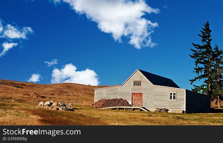 A Wooden Farmhouse on grassland with Alpaca by the